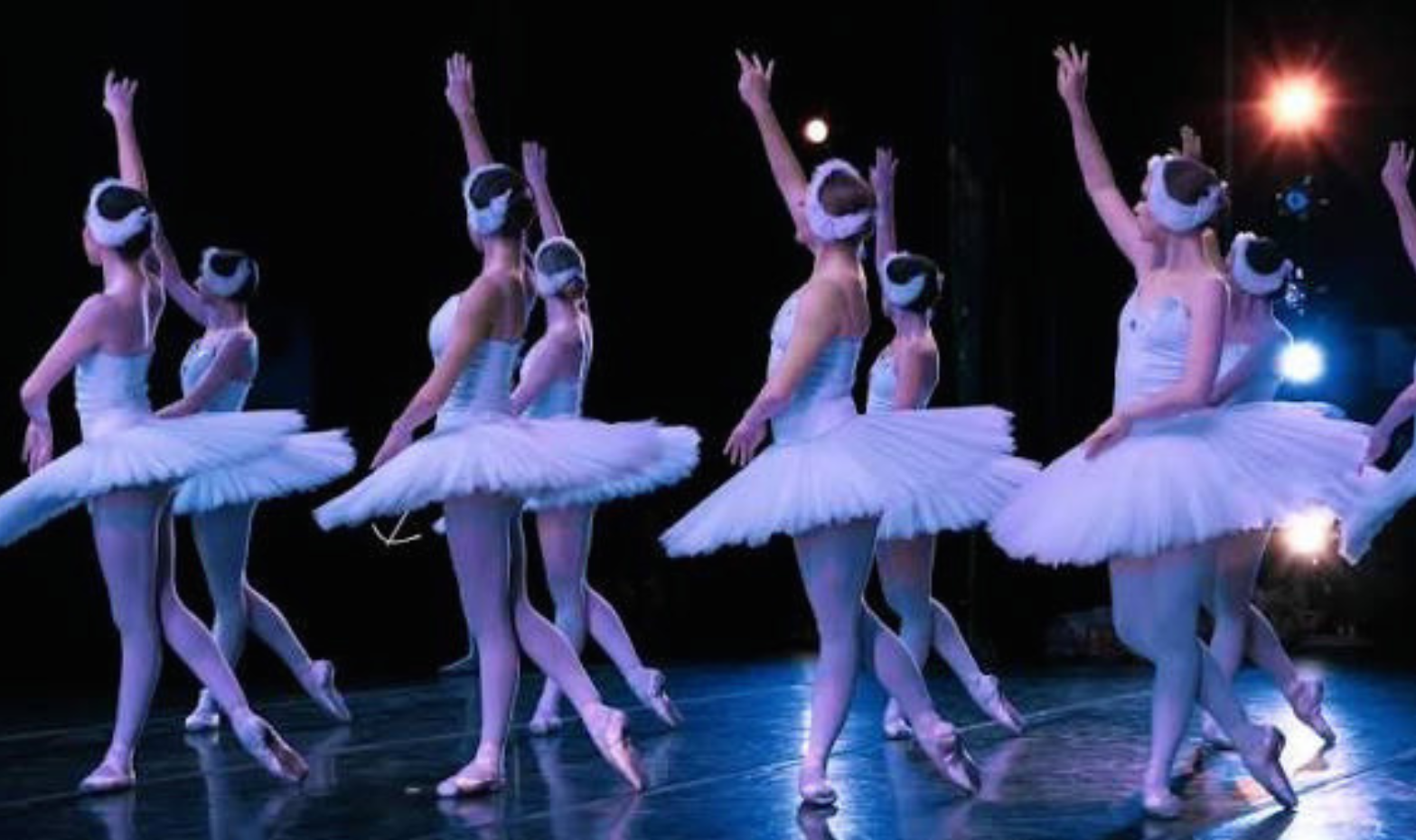 Dance Alive National Ballet Partnership